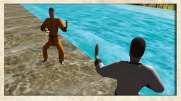 Kung Fu 3D