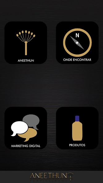 Aneethun