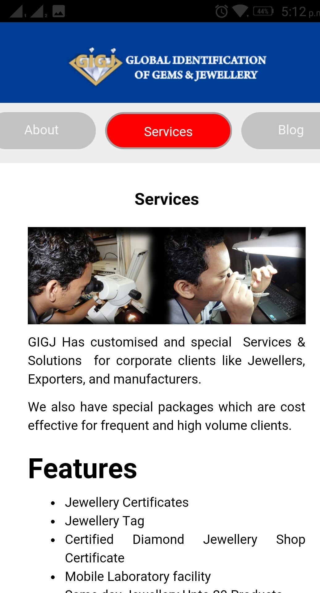 GIGJ LABS