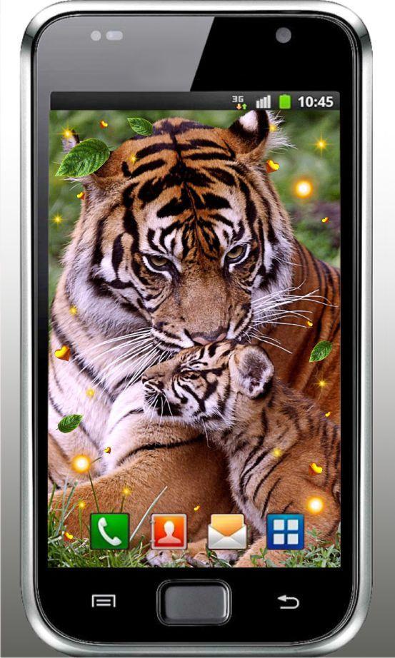 Tiger Love live wallpaper