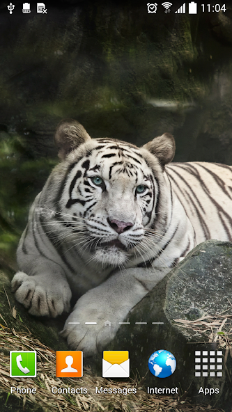 Tiger Live Wallpaper