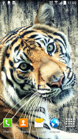 Tiger Live Wallpaper