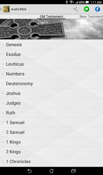 Audio Bible
