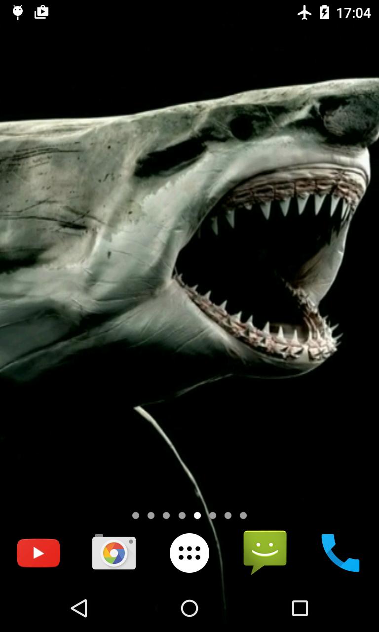 Shark 4K Video Live Wallpaper