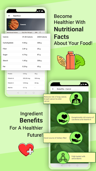 Mexican Food Recipes Offline