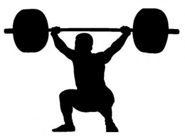 Ejercicios para el gym