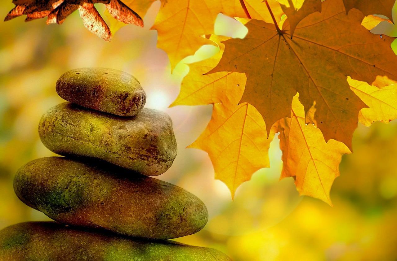 Learn to meditate