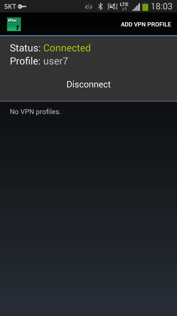 Trusted IPSec Agent
