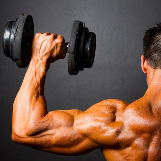 Arm Workout