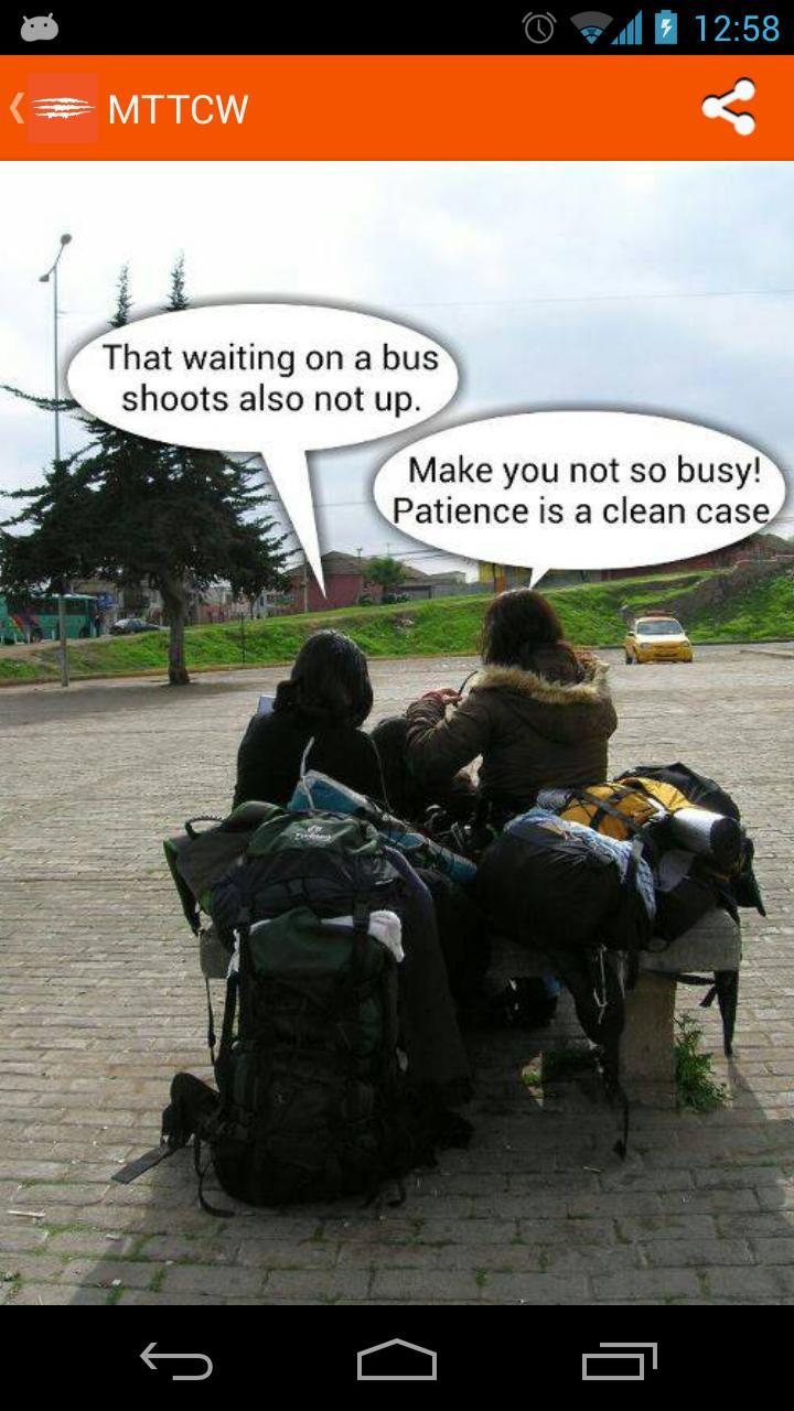 Make that the cat wise