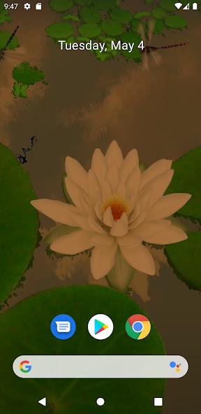 3D Lotus