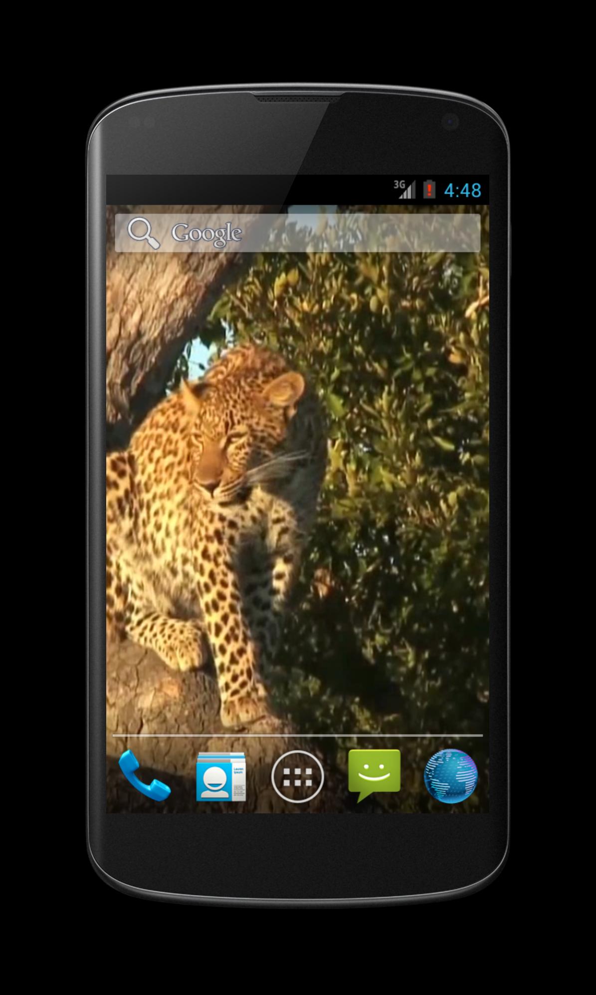 Leopard Free Video Wallpaper