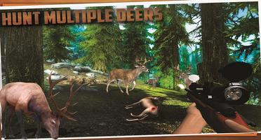 Jungle sniper deer hunt africa