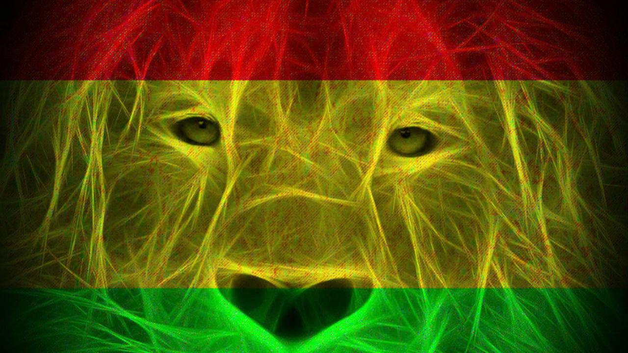 Rasta Lion