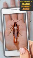 Cockroach 2 Hand Funny Joke
