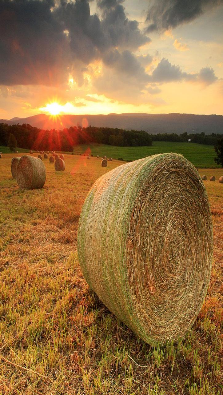 Nature Galaxy S6 Wallpaper  HD