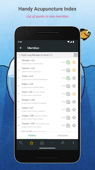 TCM Acupuncture Index/Acupoint