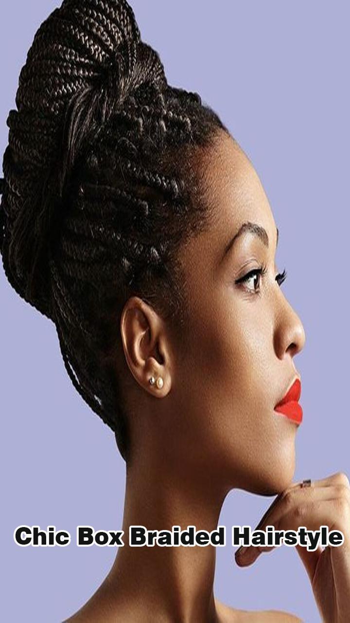 Chic Box Braided Hairstyle