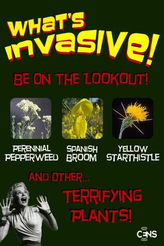 What's Invasive!