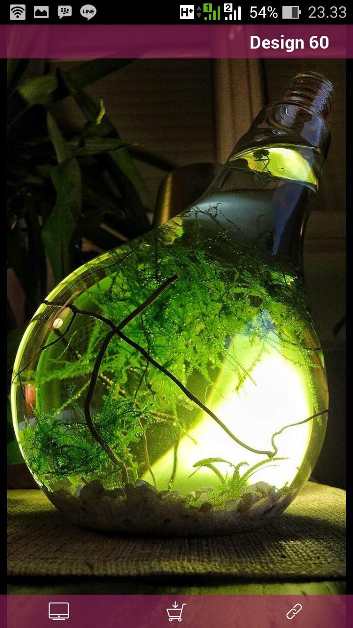 Aquarium Decoration