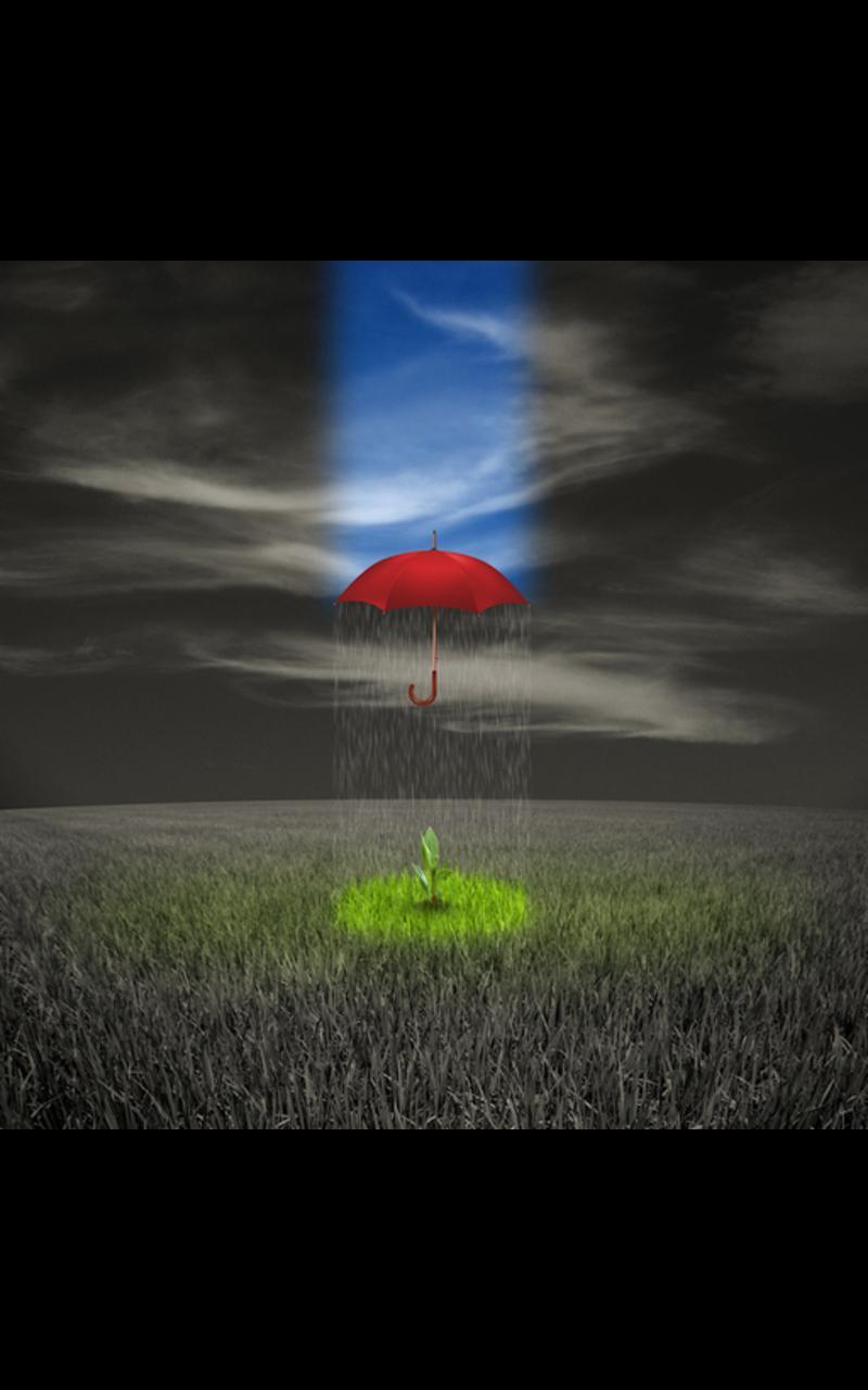Photos Umbrella live wallpaper