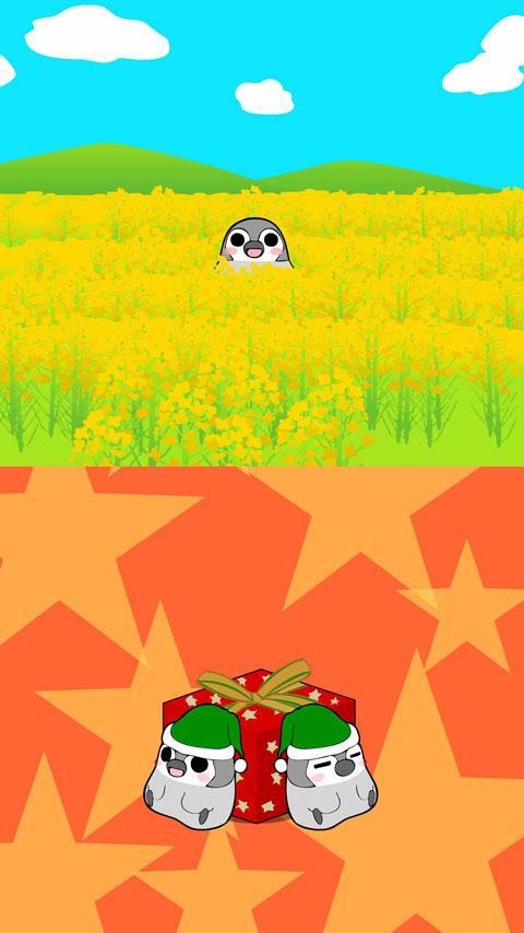 Pesoguin Wallpaper 01 Penguin