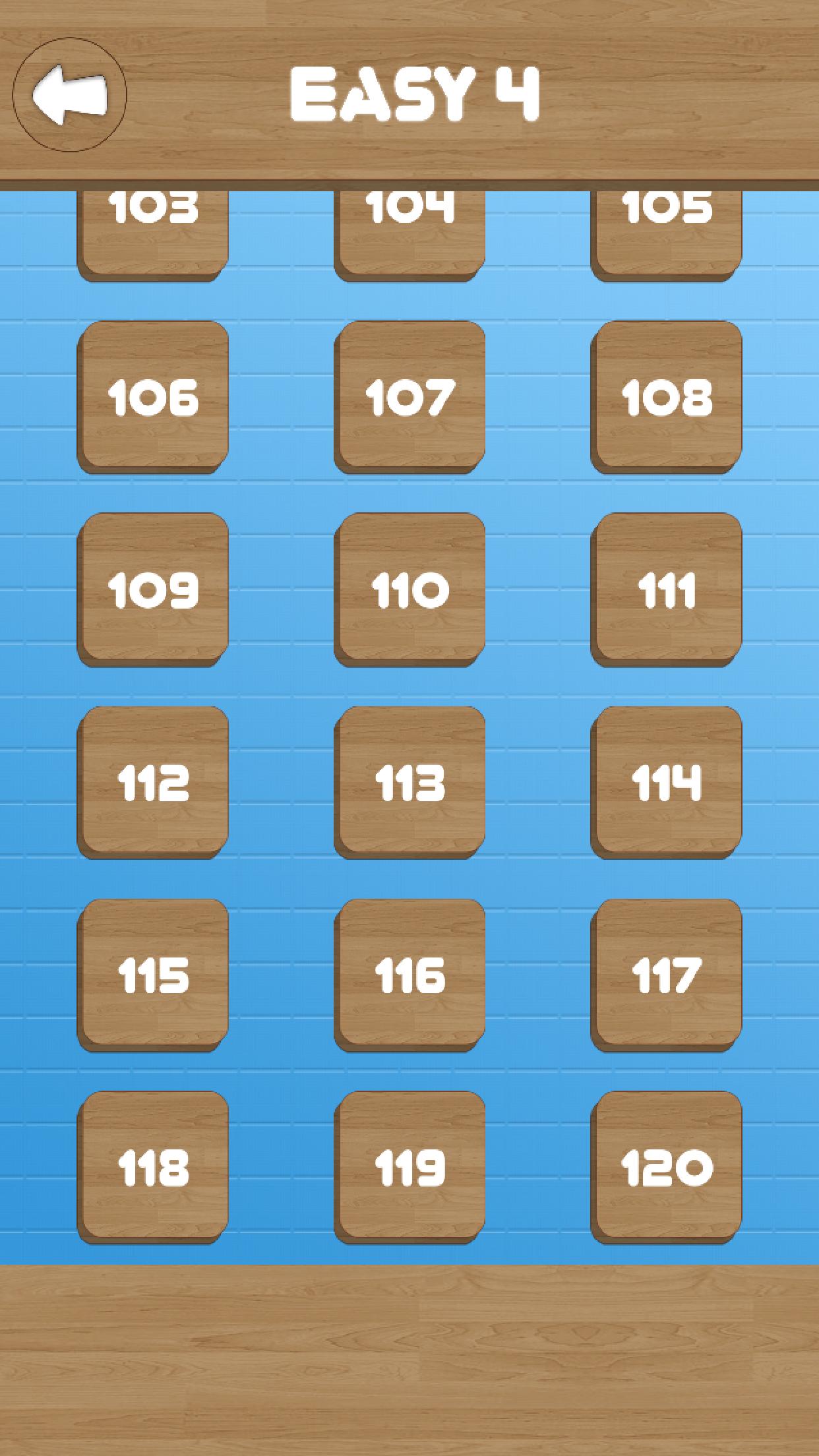 Slide Jigsaw : Classic Wooden