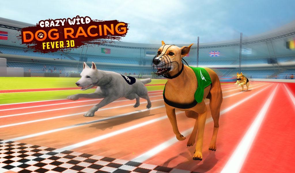 Crazy Wild Dog Racing Fever Sim 3D - Dog Race 2019
