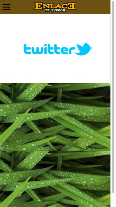 Enlace TV