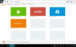 Fire Phoenix Secure Browser