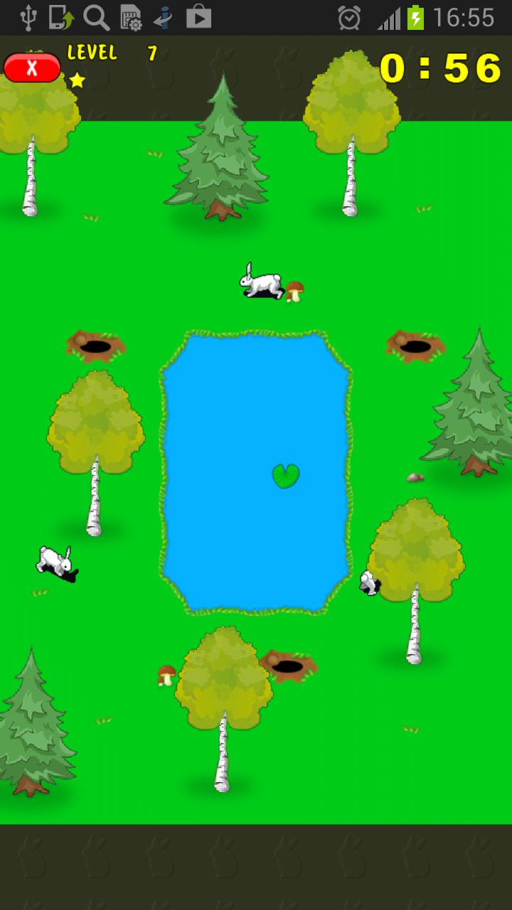 Rabbits. Memory and count