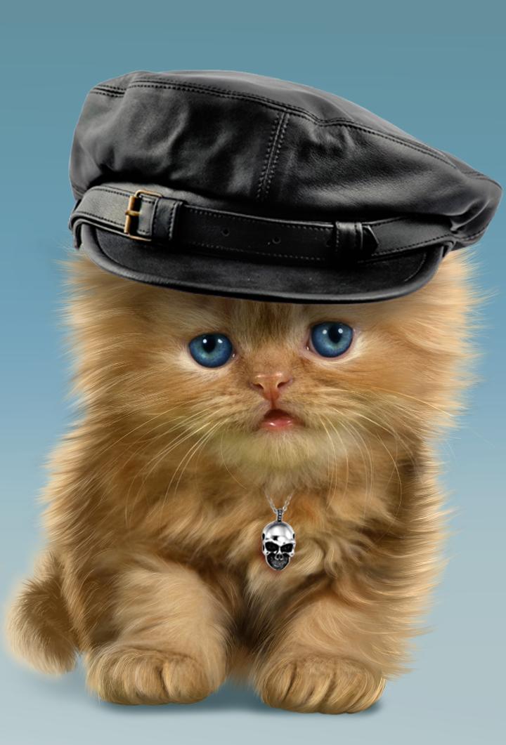 Baby Cat, Cute Live Wallpaper