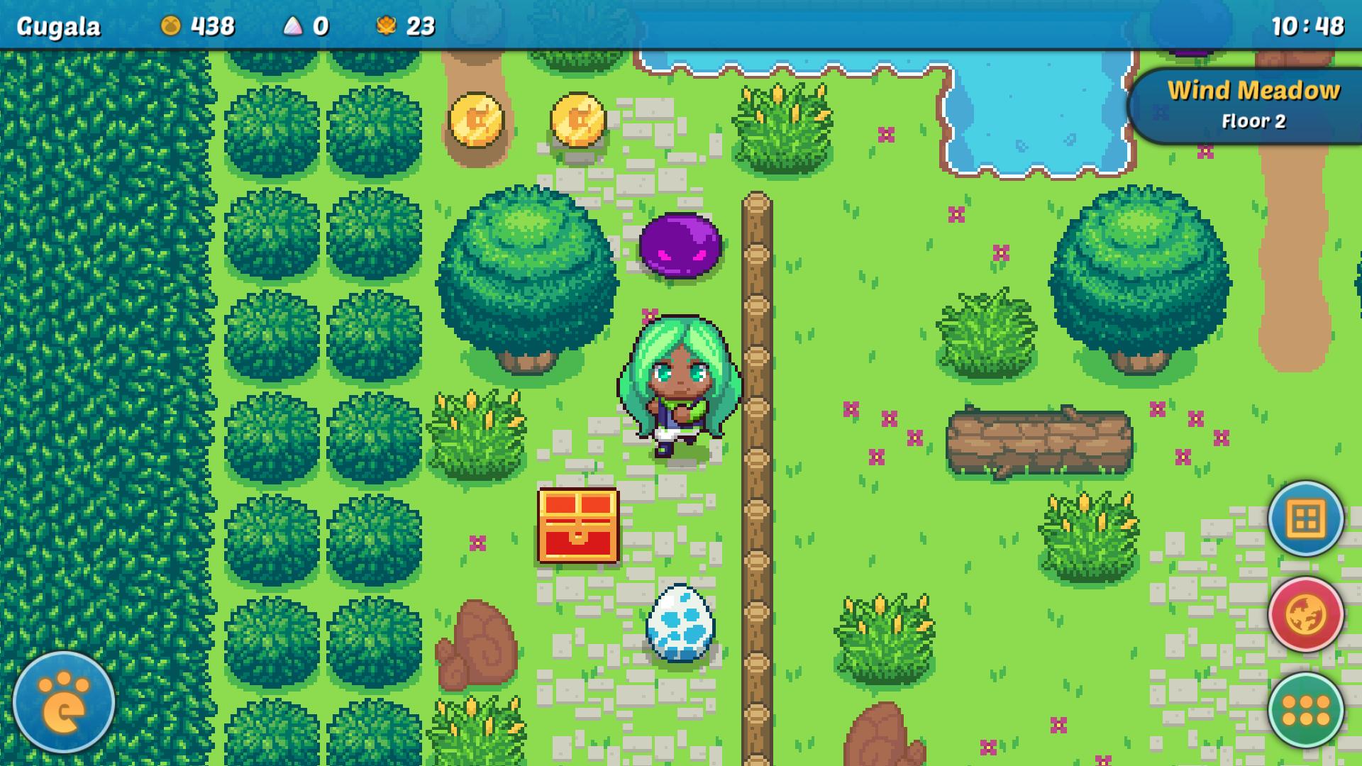 Dunpets Colors Premiere