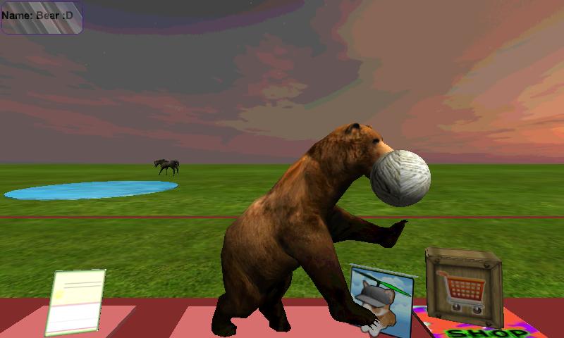 Bear Pet