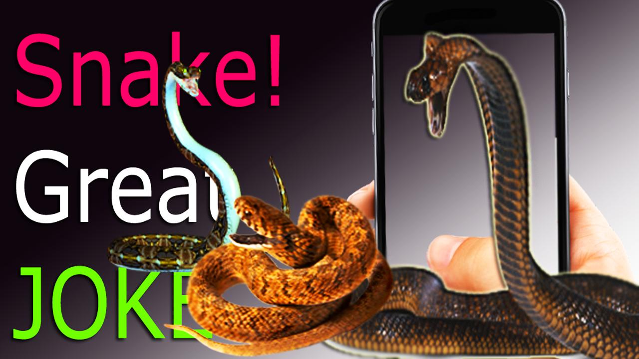 Snake On Screen Cobra Simulator