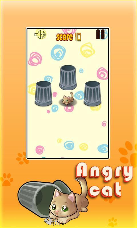Angry Cat