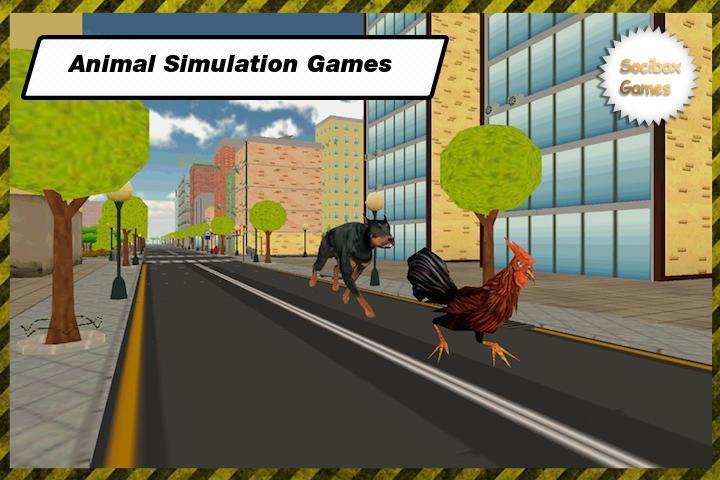 Rooster Invasion