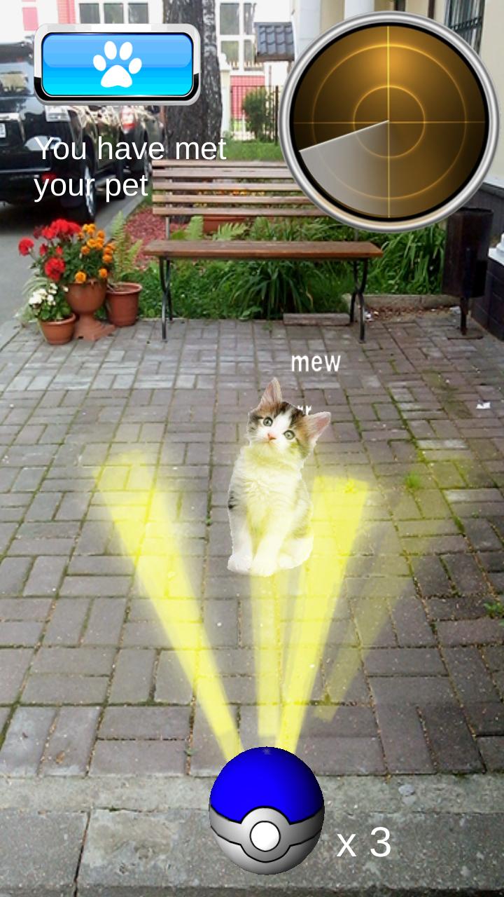 Pocket Cats GO