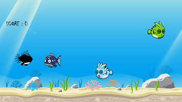 Catch The Fish